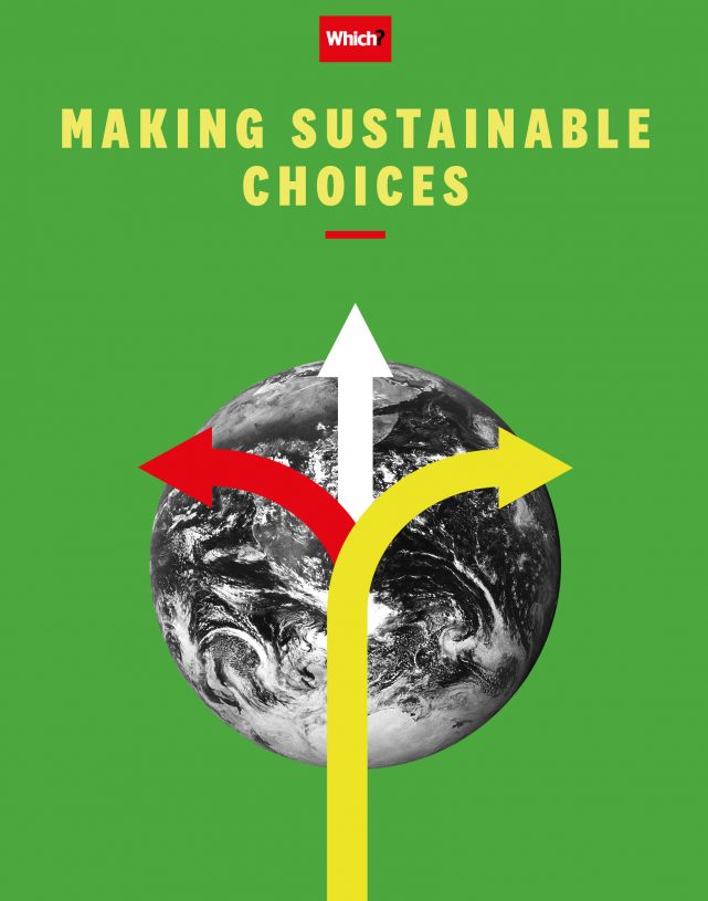Making Sustainable Choices